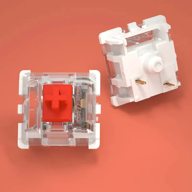 S0449cdcb33494c9c986521ef0eb525027